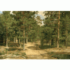 Sestroretsk Coniferous Forest, Ivan Shishkin, 1898